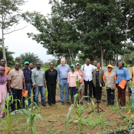 Le PDC2V à Daloa / Une visite de la Banque Mondiale confirme l’impact tangible sur la production vivrière et l’émancipation économique des communautés