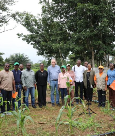 Le PDC2V à Daloa / Une visite de la Banque Mondiale confirme l’impact tangible sur la production vivrière et l’émancipation économique des communautés