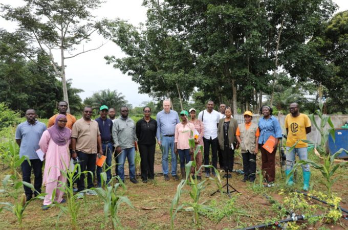 Le PDC2V à Daloa / Une visite de la Banque Mondiale confirme l’impact tangible sur la production vivrière et l’émancipation économique des communautés
