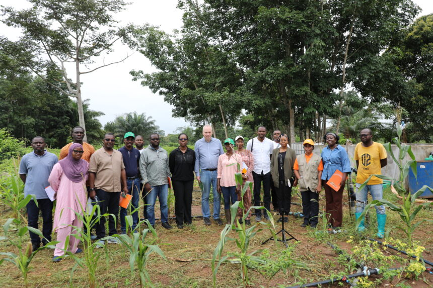 Le PDC2V à Daloa / Une visite de la Banque Mondiale confirme l’impact tangible sur la production vivrière et l’émancipation économique des communautés